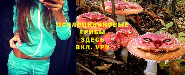 МДПВ Лихославль