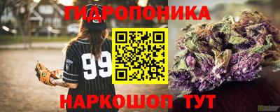 ПСИЛОЦИБИНОВЫЕ ГРИБЫ Аргун
