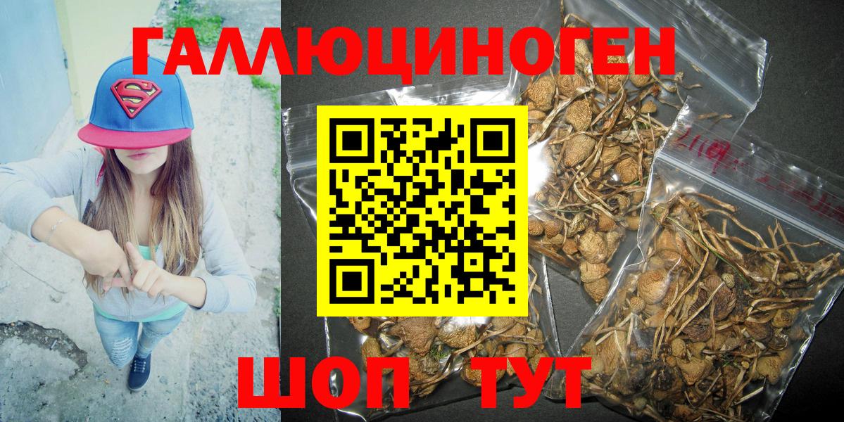 цена наркотик  Карасук  Галлюциногенные грибы Cubensis 