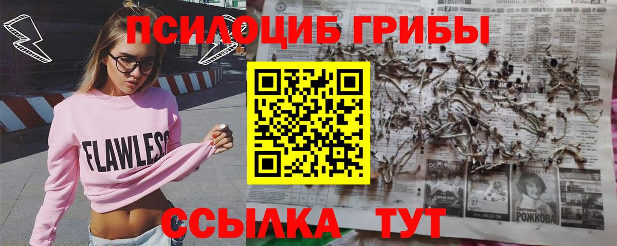 Галлюциногенные грибы прущие грибы  Вход с VPN  Карасук  Псилоцибиновые грибы MAGIC MUSHROOMS 